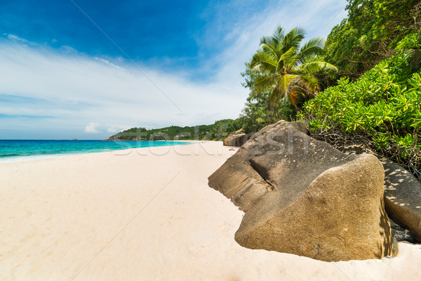 Tropikalnej plaży turkus wody niebo krajobraz tle Zdjęcia stock © kubais