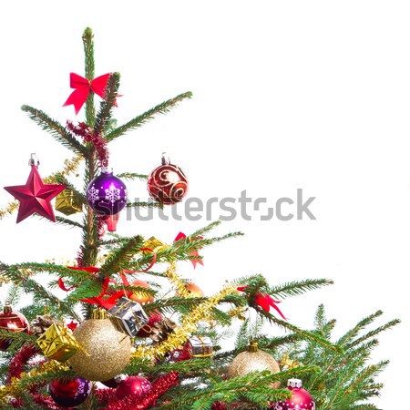 Díszített karácsonyfa izolált fehér terv háttér Stock fotó © kubais