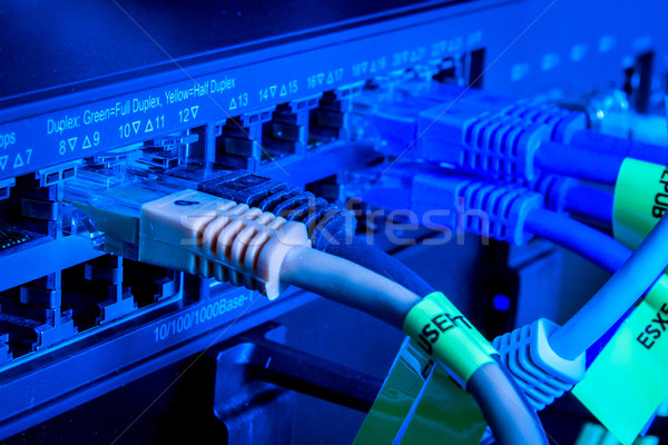 Netzwerk Kabel Business Technologie Kommunikation Innenraum Stock foto © kubais