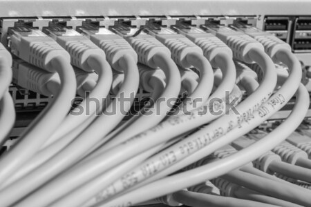 Stock photo: network cables connected to switch