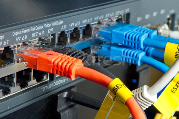 Netwerk kabels business technologie server communicatie Stockfoto © kubais
