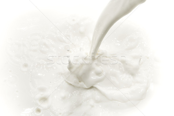 Latte splash bianco alimentare bere Foto d'archivio © kubais