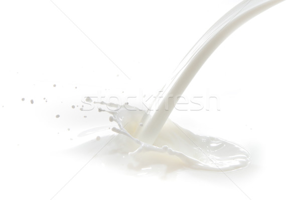 Mleka splash odizolowany biały żywności Zdjęcia stock © kubais