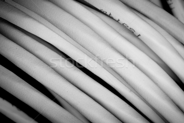 Stock photo: network cables concept