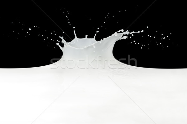 Leche Splash aislado negro pintura Foto stock © kubais