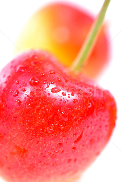 Cerejas macro branco comida fruto fundo Foto stock © kuligssen