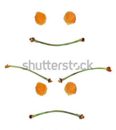 angry face made ​​from stalks of sweet cherries and seeds Stock photo © kuligssen