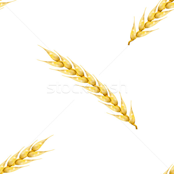 Seamless background with wheat spikelets, vector illustration. Stock photo © kup1984