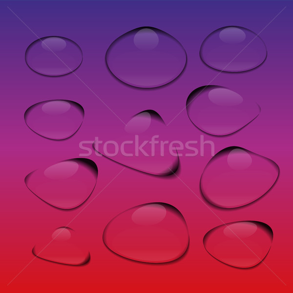 Transparent drop of water, vector illustration. Stock photo © kup1984
