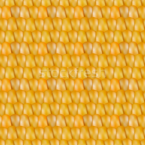 Realistic texture corn, vector illustration. Stock photo © kup1984