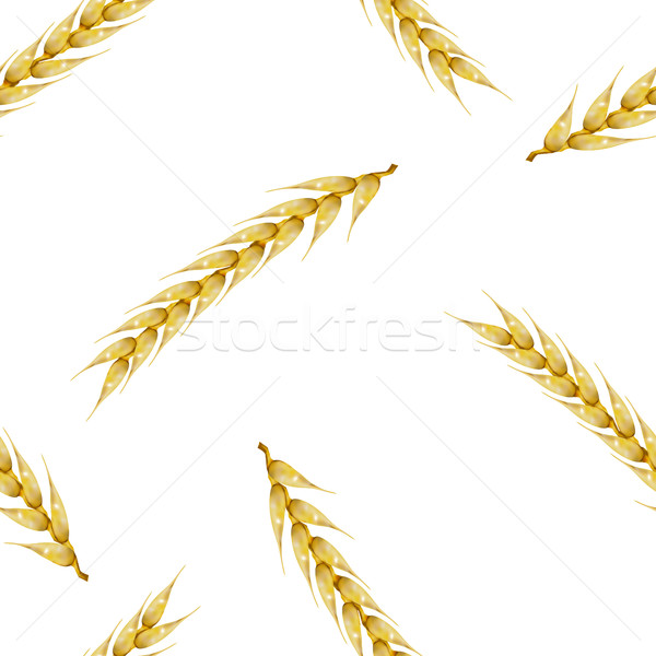 Seamless background with wheat spikelets, vector illustration. Stock photo © kup1984