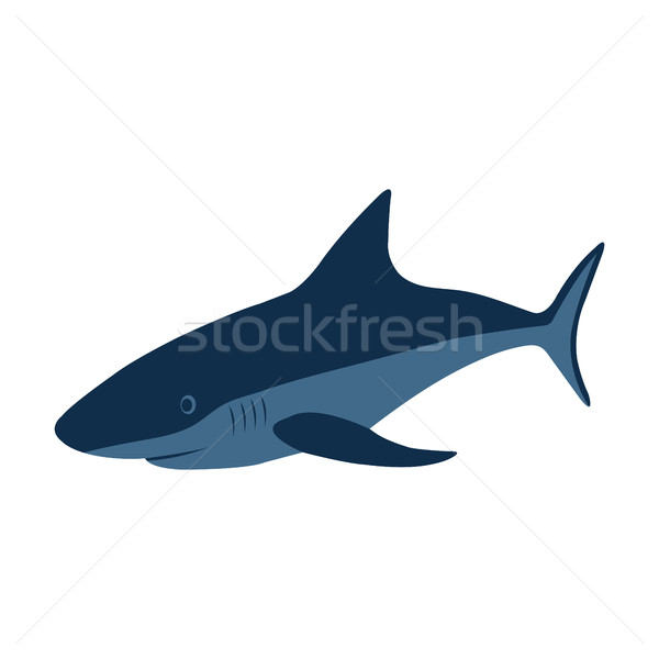 Köpekbalığı gerçekçi beyaz su doğa arka plan Stok fotoğraf © kup1984