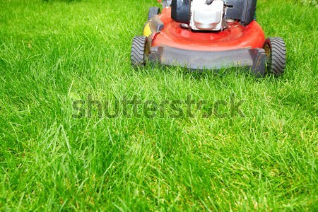 Stock foto: Rasenmäher · Schneiden · grünen · Gras · Arbeit · Garten · Gras