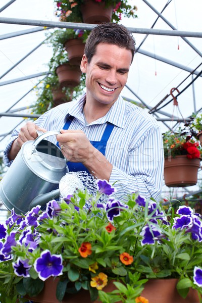 Florist man working with flowers in greenhouse. Stock photo © Kurhan