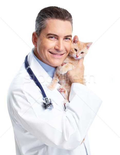 Foto stock: Médico · veterinario · sonriendo · gato · aislado · blanco