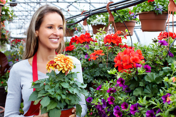 Mujer de trabajo vivero las personas que trabajan jardinería primavera Foto stock © Kurhan