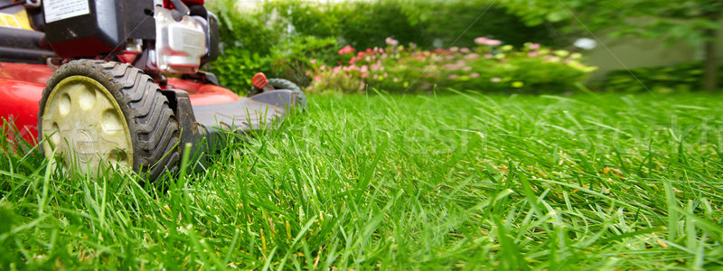 Fűnyíró vág zöld fű udvar természet tájkép Stock fotó © Kurhan