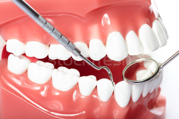 Teeth Stock photo © Kurhan