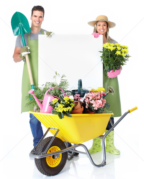 Gardening. Stock photo © Kurhan