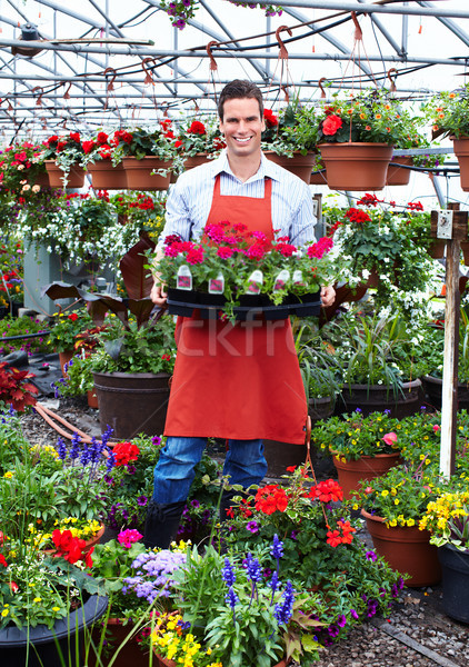 Mann arbeiten Gärtnerei Mitarbeiter Gartenarbeit Frühling Stock foto © Kurhan