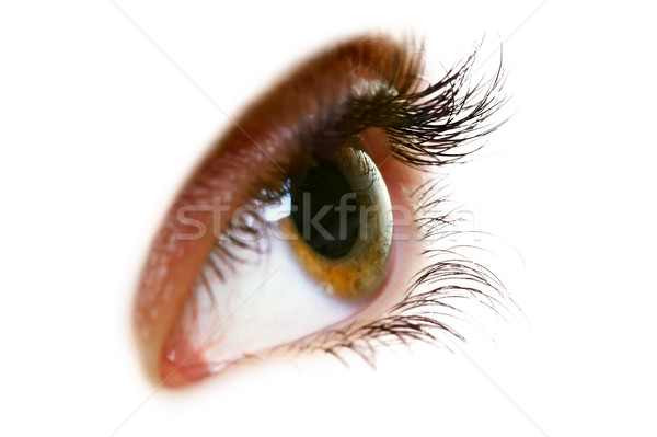 Eye Stock photo © Kurhan