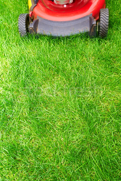 Groen gras gras werk natuur Stockfoto © Kurhan