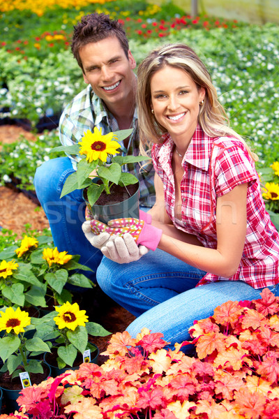 [[stock_photo]]: Jeunes · souriant · personnes · travail · jardin · affaires