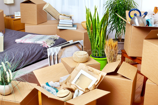 Moving boxes in new house. Stock photo © Kurhan