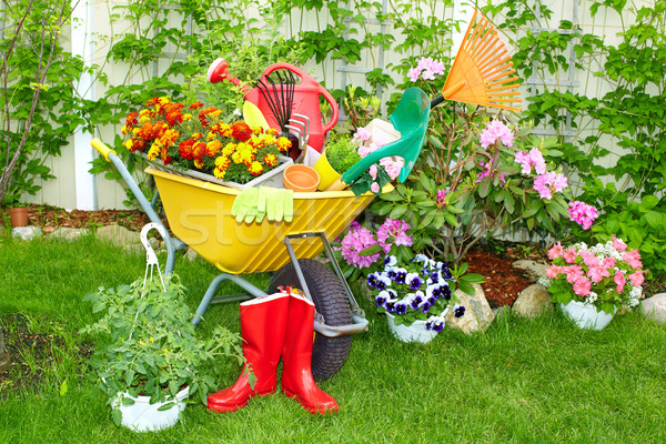 Gardening tools. Stock photo © Kurhan
