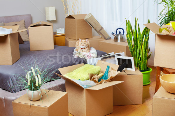 Költözködő dobozok új ház új lakás ingatlan ház Stock fotó © Kurhan