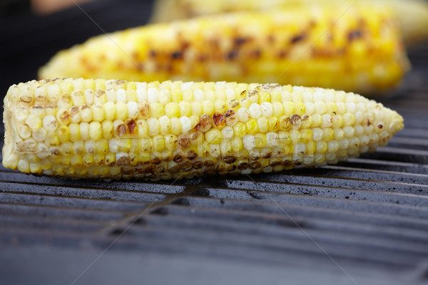 Corn roast on barbecue grille. Stock photo © Kurhan
