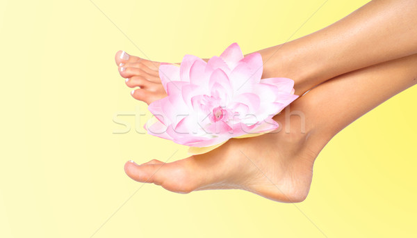 Woman feet with flower. Stock photo © Kurhan