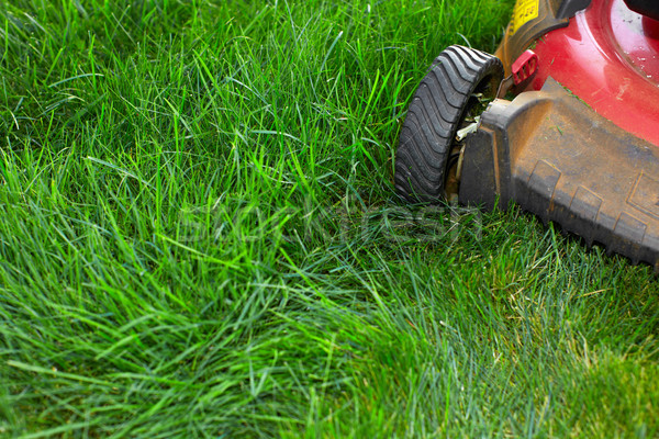 Lawn mower cutting green grass. Stock photo © Kurhan