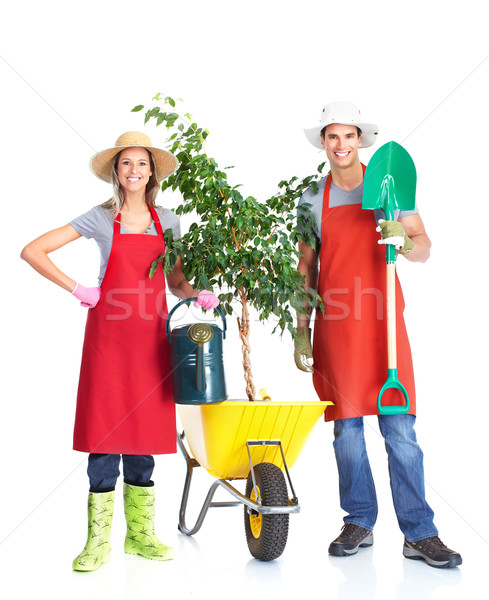 Stock photo: Gardening