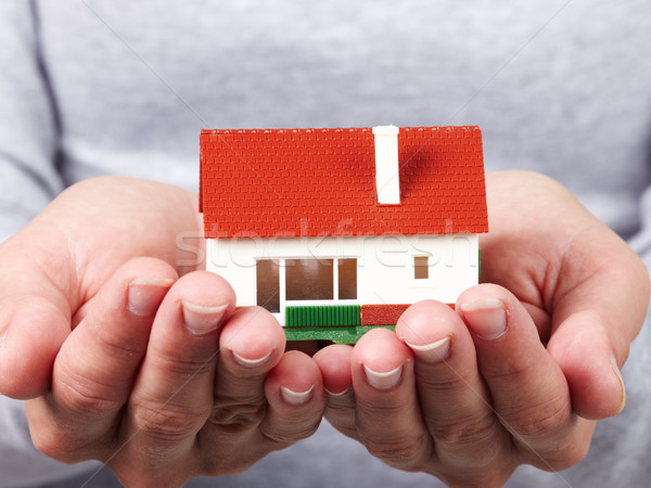 Family house. Stock photo © Kurhan