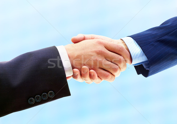 business handshake Stock photo © Kurhan