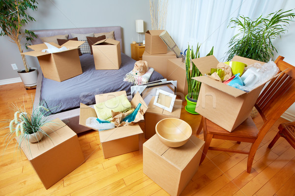 Moving boxes in new house. Stock photo © Kurhan