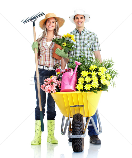 Tuinieren mensen werknemers bloemen geïsoleerd witte Stockfoto © Kurhan