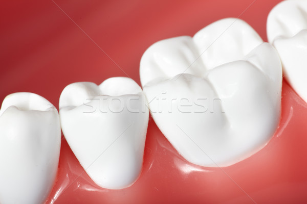 Teeth Stock photo © Kurhan