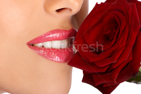 Jeunes jolie femme Rose Red femme [[stock_photo]] © Kurhan