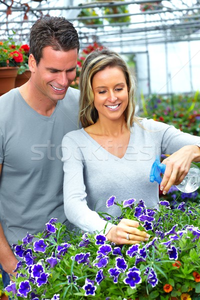 Florist working with flowers in greenhouse. Stock photo © Kurhan