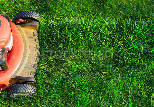 Stock photo: Lawn mower cutting green grass.