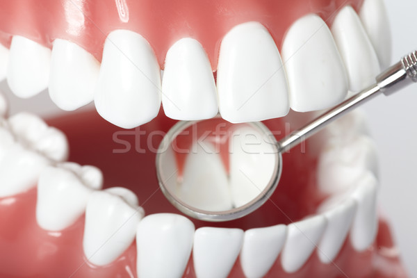 Beyaz diş beyaz sağlıklı mükemmel dişler plastik Stok fotoğraf © Kurhan
