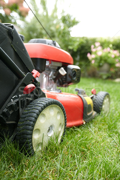Lawn mower. Stock photo © Kurhan