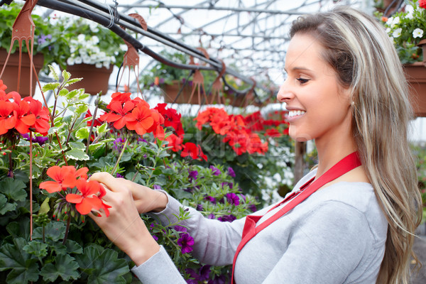 Gardening. Stock photo © Kurhan
