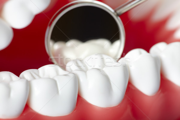 Teeth Stock photo © Kurhan