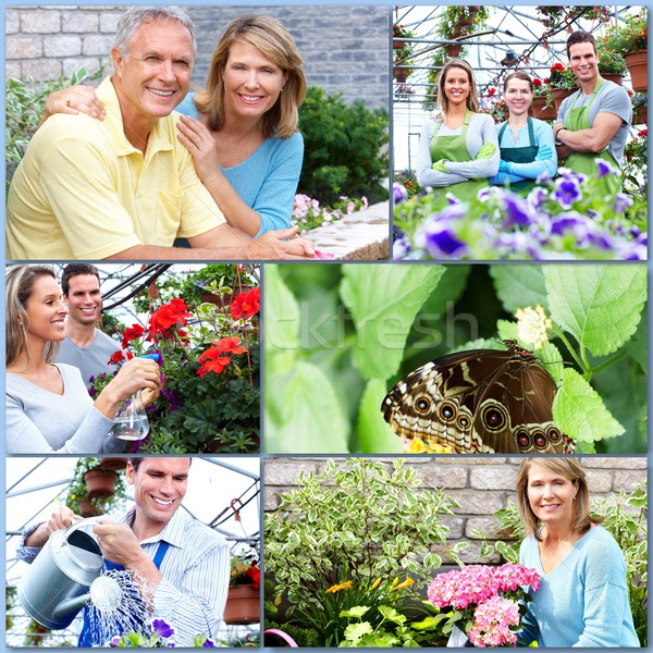 Foto stock: Jardinagem · casal · feliz · colagem · pessoas · flores