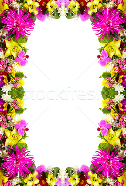 Virágmintás üdvözlőlap gyönyörű virágok izolált fehér Stock fotó © Kurhan