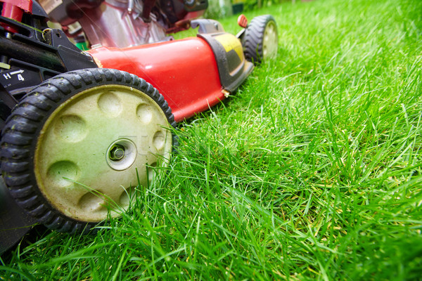 Stock photo: Lawn mower.