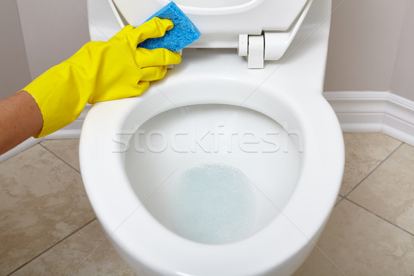 Wc tál takarítás szivacs fürdőszoba nő Stock fotó © Kurhan